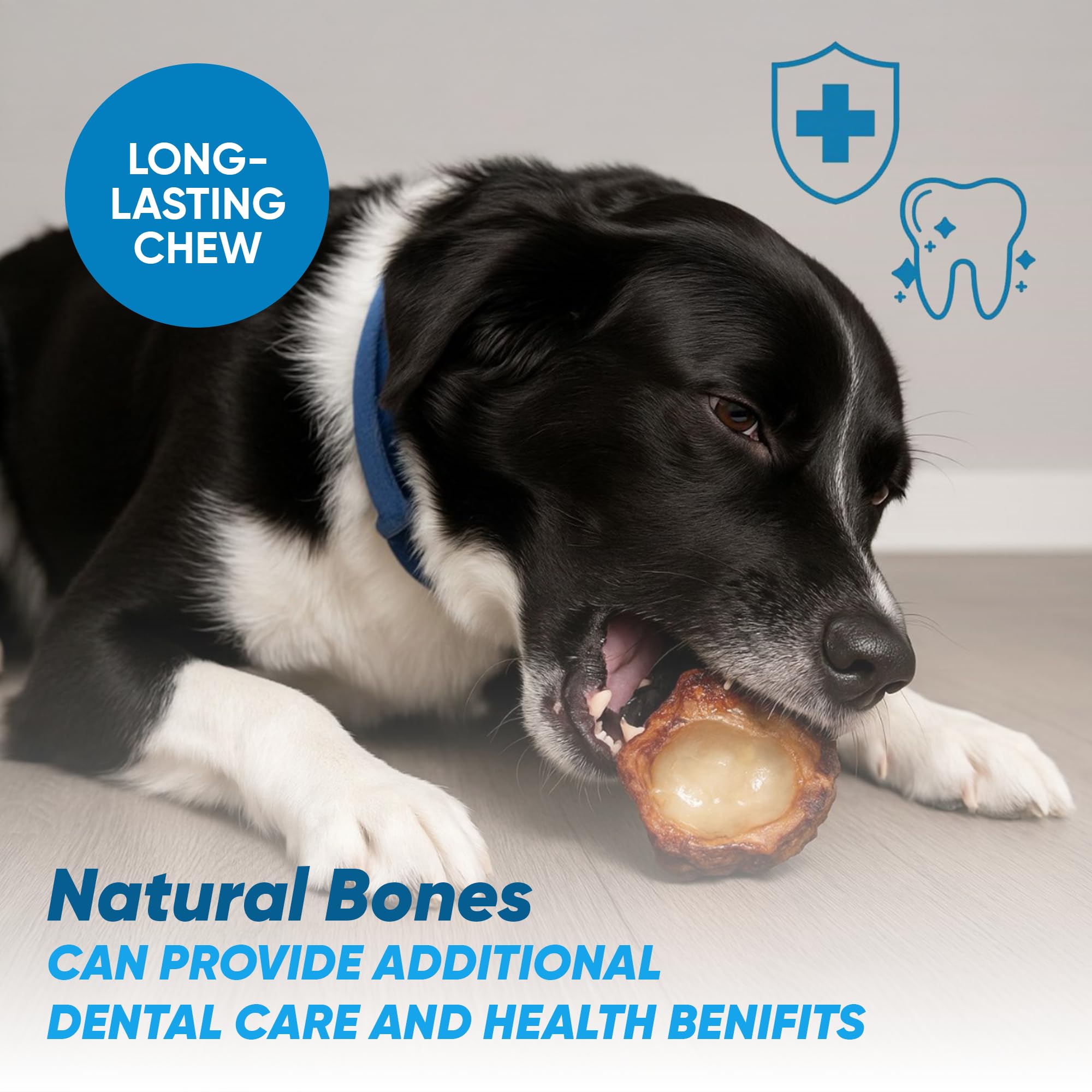 123 Treats Beef Knee Caps for Dogs - Natural Cow Knee Cap Bones, Long-Lasting Dog Chew Treat, Bone-in Beef Kneecap Bones for Med